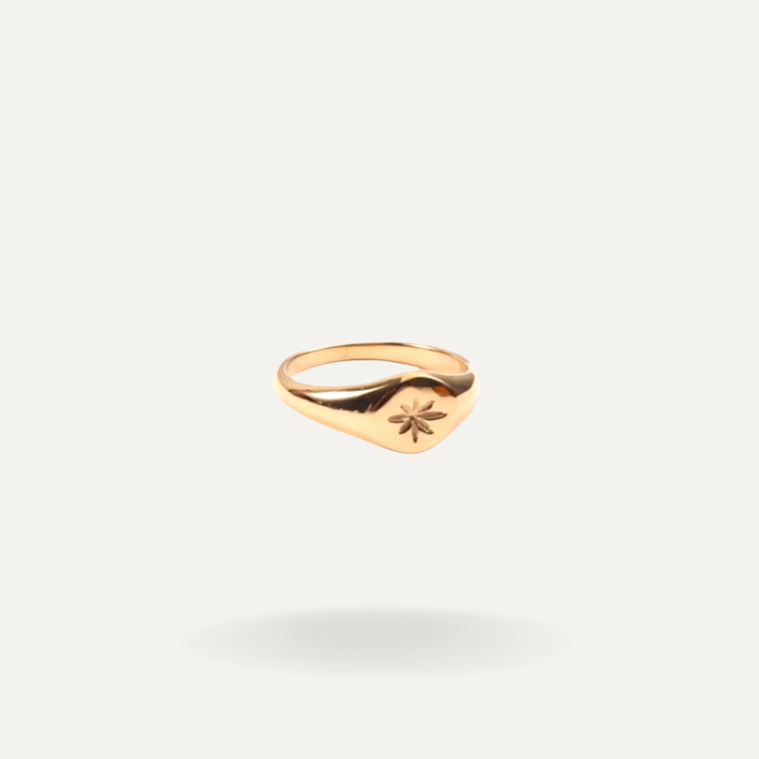 Mini Starlet signet Ring